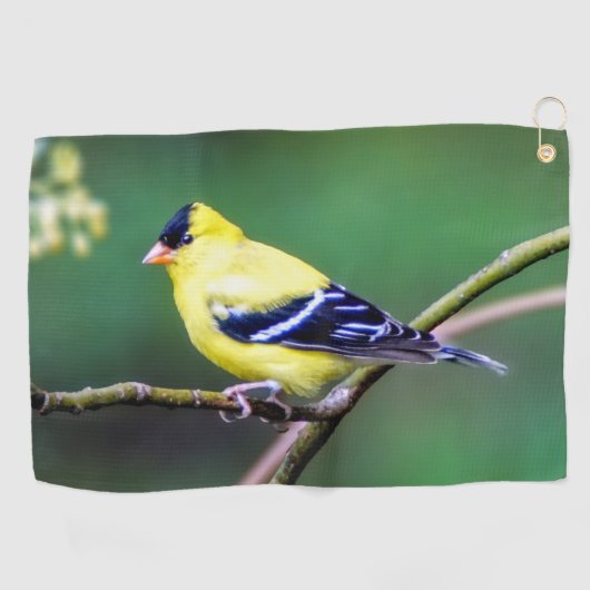 Amerikanisches Goldfinch-Golf-Tuch Golfhandtuch (Horizontal)