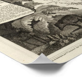 amerikanisches Imperium Poster (Ecke)