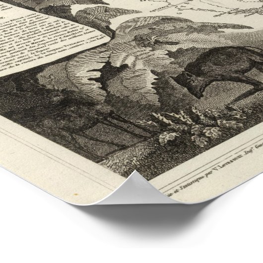 amerikanisches Imperium Poster (Ecke)