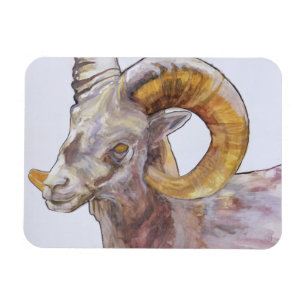 Amerikanisches langes Horn 2004 Magnet