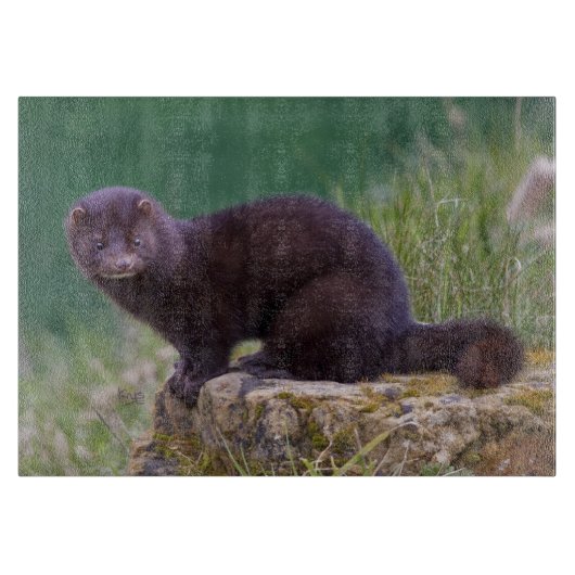 Amerikanisches Nerz-rechteckiges Schneidebrett (Vorderseite)