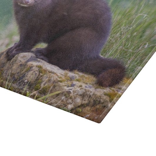 Amerikanisches Nerz-rechteckiges Schneidebrett (Ecke)