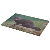 Amerikanisches Nerz-rechteckiges Schneidebrett (Ecke)