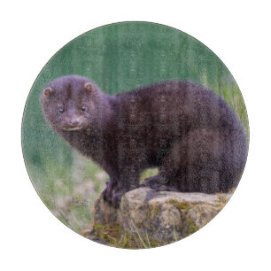 Amerikanisches Nerz-rundes Schneidebrett