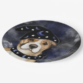 AMERIKANISCHES PERSONAL PAPPTELLER (Schrägansicht)