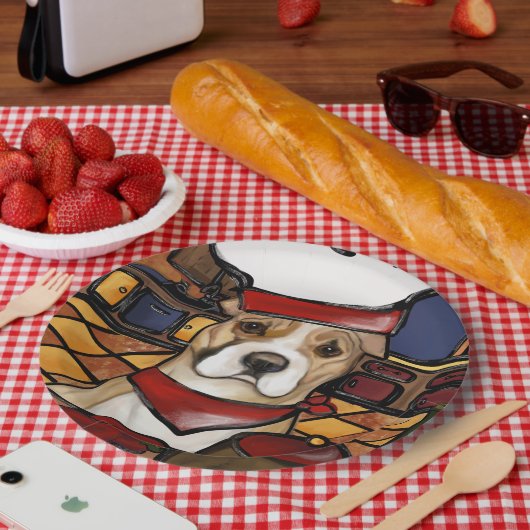 AMERIKANISCHES PERSONAL PAPPTELLER (Picknick)