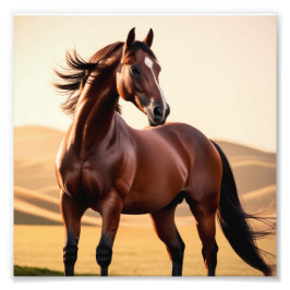 amerikanisches Pferd Fotodruck