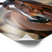 amerikanisches Pferd Fotodruck (Ecke)