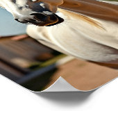 amerikanisches Pferd Poster (Ecke)