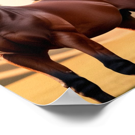 amerikanisches Pferd Poster (Ecke)