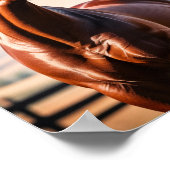 amerikanisches Pferd Poster (Ecke)