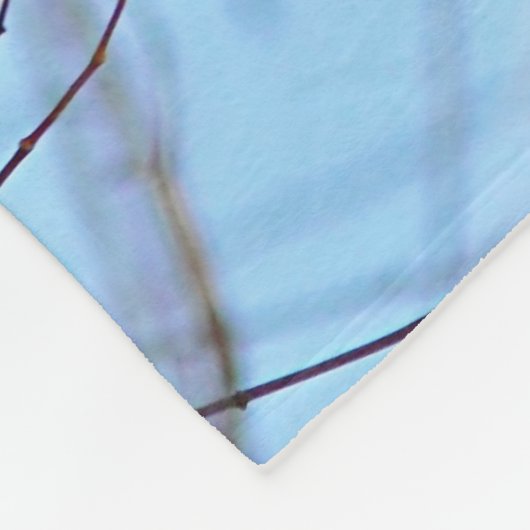 Amerikanisches Rotkehlchen Fleecedecke (Ecke)