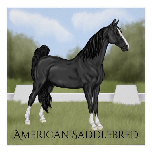 Amerikanisches Saddle-bred-Pferd Poster (Vorderseite)