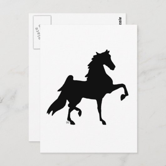 Amerikanisches Saddlebred Pferd Postkarte (Vorne/Hinten)