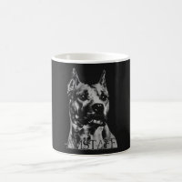 Amerikanisches Staffordshire Terrier - Amstaff