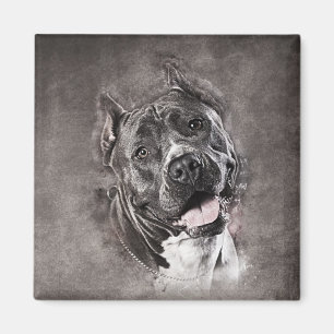 Amerikanisches Staffordshire Terrier - Amstaff Magnet