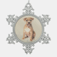 Amerikanisches Staffordshire-Terrierwelpe