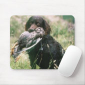 Amerikanisches WasserSpaniel Mousepad (Mit Mouse)