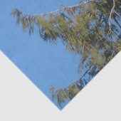 Amerikanisches Weißkopfseeadler-Gewebe Seidenpapier (Ausschnitt)