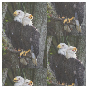 Amerikanisches Weißkopfseeadler-Gewebe Stoff