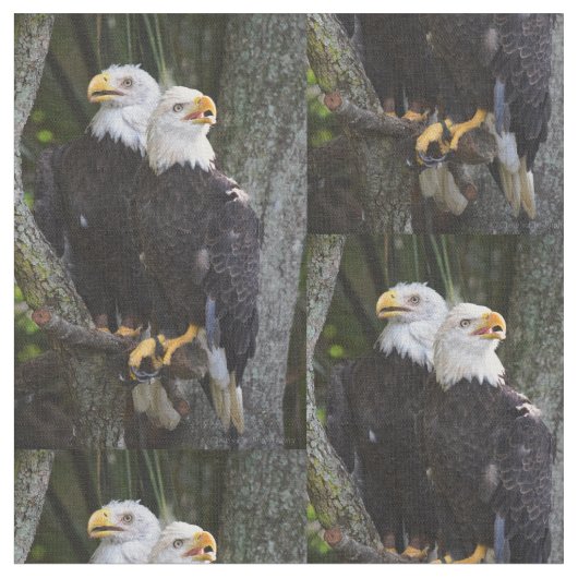 Amerikanisches Weißkopfseeadler-Gewebe Stoff (Nahaufnahme)
