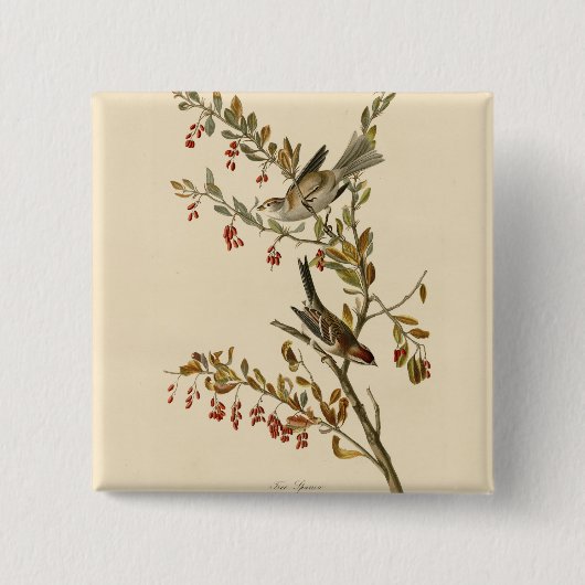 Amerikas Baumsparrow, Audubons Vögel Amerikas Button (Vorderseite)