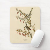 Amerikas Baumsparrow, Audubons Vögel Amerikas Mousepad (Mit Mouse)