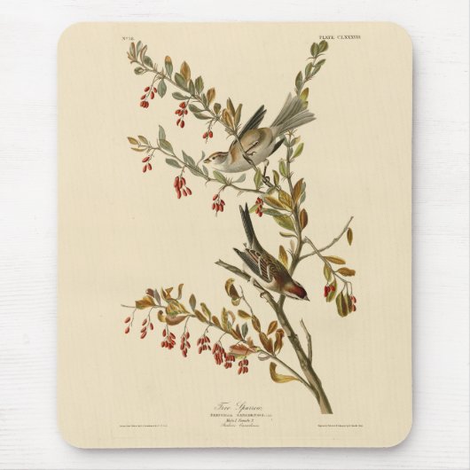 Amerikas Baumsparrow, Audubons Vögel Amerikas Mousepad (Vorne)