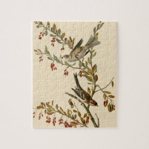 Amerikas Baumsparrow, Audubons Vögel Amerikas Puzzle