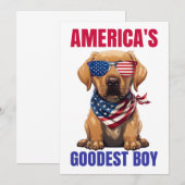 Amerikas bester Labrador Einladung (Vorne/Hinten)