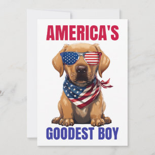 Amerikas bester Labrador Einladung