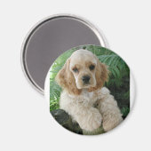 Amerikas Cocker Spaniel Hund und der Grüne Fern Magnet (Vorderseite/Rückseite)