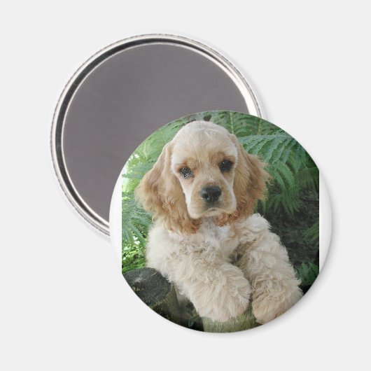 Amerikas Cocker Spaniel Hund und der Grüne Fern Magnet (Vorderseite/Rückseite)