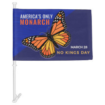 Amerikas einziger Monarch ist ein Schmetterling