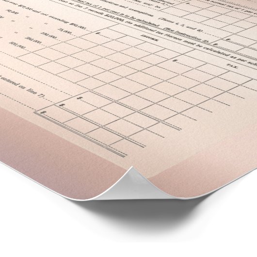 Amerikas erstes Einkommensteuerformular 1040 Rose Poster (Ecke)