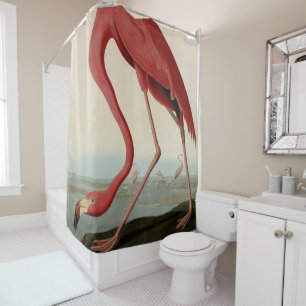 Amerikas Flamingo von Audubons Vögeln Amerikas  Duschvorhang