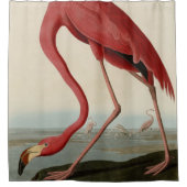 Amerikas Flamingo von Audubons Vögeln Amerikas Duschvorhang (Vorderseite)