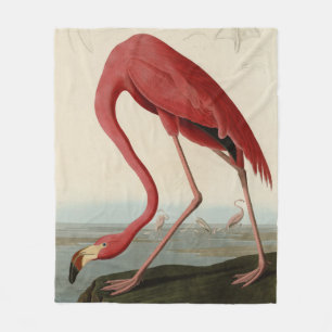 Amerikas Flamingo von Audubons Vögeln Amerikas Fleecedecke