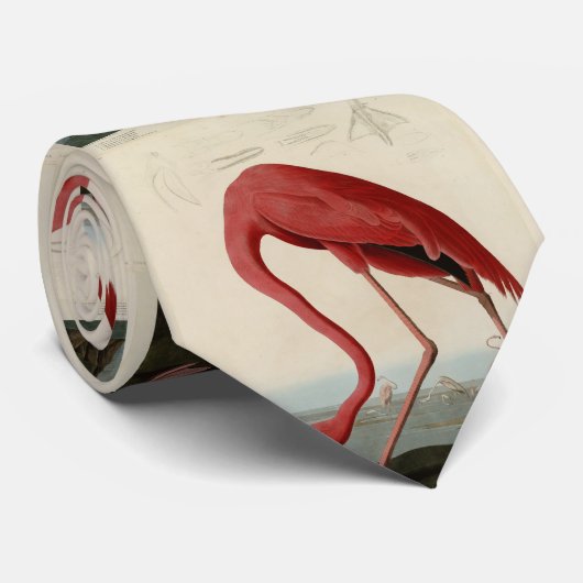 Amerikas Flamingo von Audubons Vögeln Amerikas Krawatte (Gerollt)
