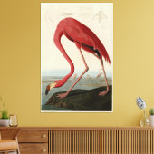 Amerikas Flamingo von Audubons Vögeln Amerikas Leinwanddruck (Insitu (Wohnzimmer))