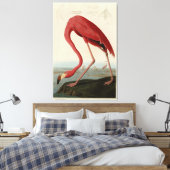Amerikas Flamingo von Audubons Vögeln Amerikas Leinwanddruck (Insitu (Schlafzimmer))
