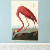 Amerikas Flamingo von Audubons Vögeln Amerikas Leinwanddruck (Insitu (Holzboden))