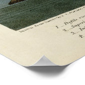 Amerikas Flamingo von Audubons Vögeln Amerikas Poster (Ecke)