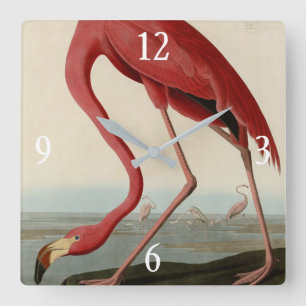 Amerikas Flamingo von Audubons Vögeln Amerikas Quadratische Wanduhr