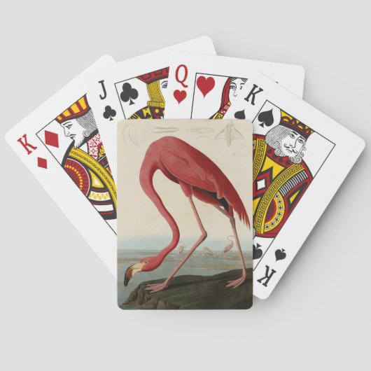 Amerikas Flamingo von Audubons Vögeln Amerikas Spielkarten (Rückseite)