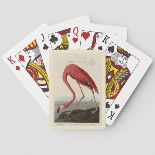 Amerikas Flamingo von Audubons Vögeln Amerikas Spielkarten (Rückseite)
