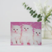 Amerikas Modelle der nächsten Wahl Postkarte (Stehend Vorderseite)