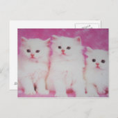 Amerikas Modelle der nächsten Wahl Postkarte (Vorne/Hinten)