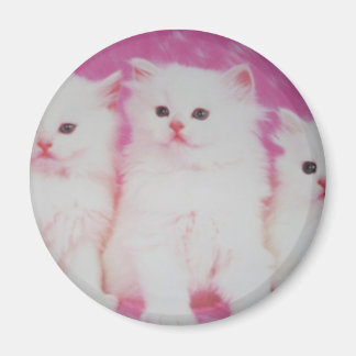 Amerikas nächste Top-Modelle Magnet