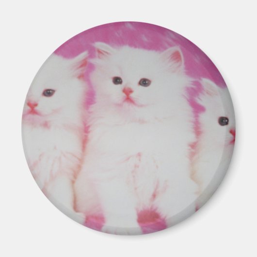 Amerikas nächste Top-Modelle Magnet (Vorne)